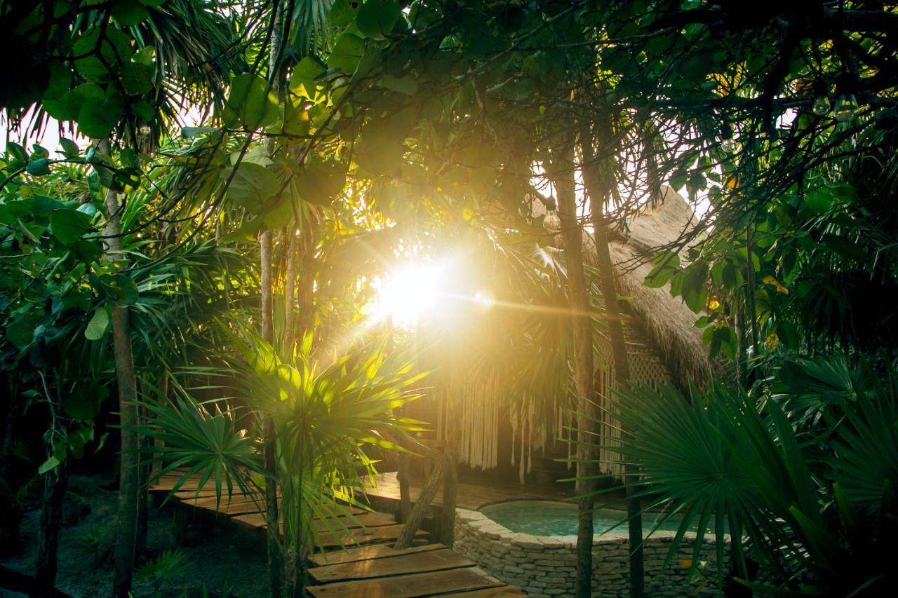 Ikal Tulum Hotel ภายนอก รูปภาพ Jungle at Xel-Há