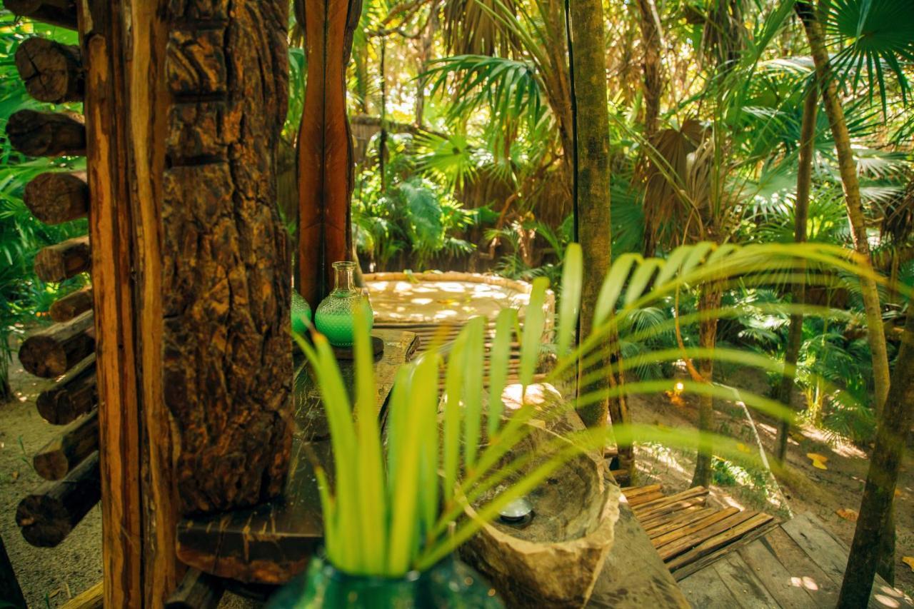 Ikal Tulum Hotel ภายนอก รูปภาพ The interior of the rainforest
