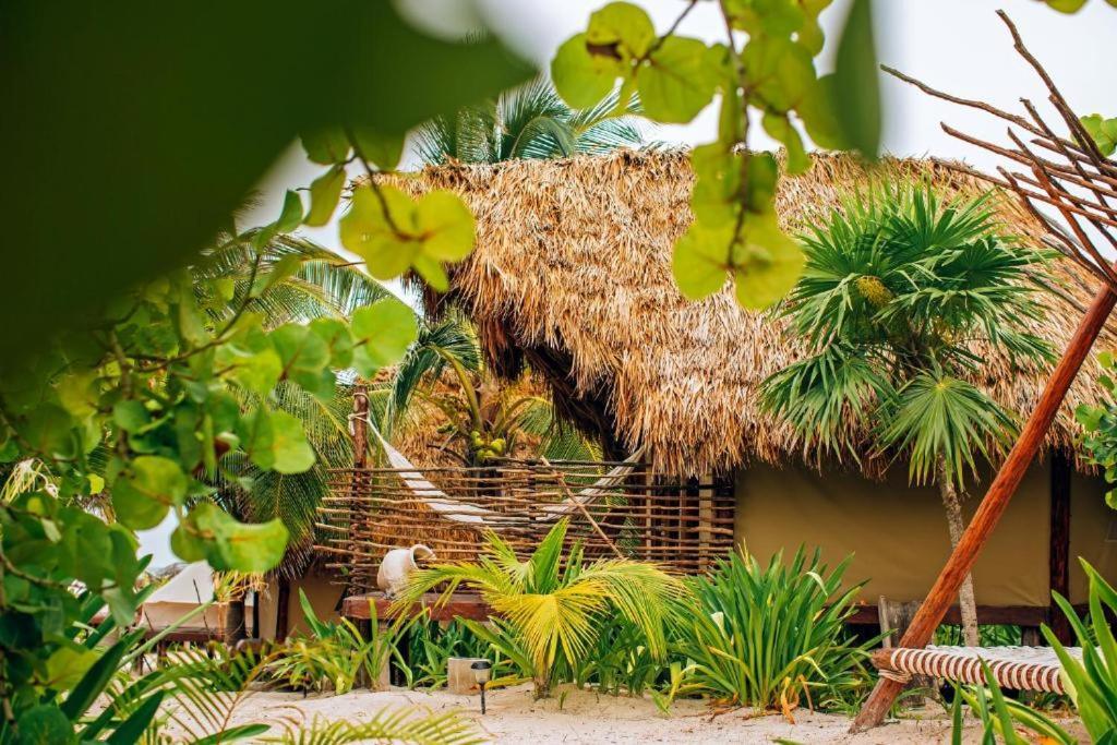 Ikal Tulum Hotel ภายนอก รูปภาพ A hut in the jungle